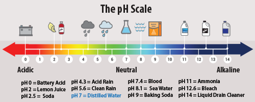The Science Behind the pH of Distilled Water